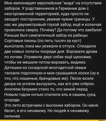 Зачем немцам дачи, если на них запрещено практически всё? Жить нельзя,  музыку слушать нельзя, а что можно? / Оффтопик / iXBT Live