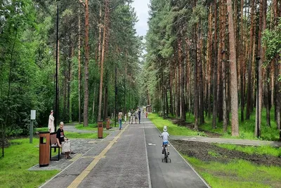 Заельцовский парк Новосибирск фото фотографии