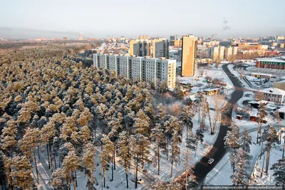 Заельцовский парк | Новосибирск вики | Fandom