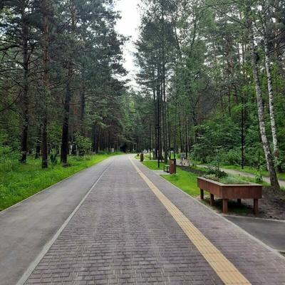Заельцовский парк — достопримечательности города Новосибирск