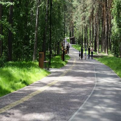 Заельцовский парк открыли после масштабной реконструкции в Новосибирске -  Новости Новосибирска - om1.ru
