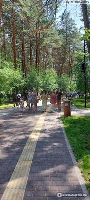 На год закроют Заельцовский парк в Новосибирске для реконструкции