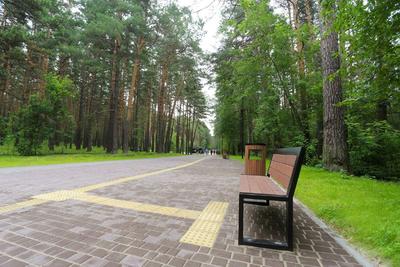 Заельцовский парк , Новосибирск - «Нам очень понравился Заельцовский парк,  несмотря на происшествие.» | отзывы