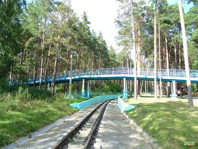 Заельцовский парк в Новосибирске откроется ко Дню города 26 июня - sib.fm