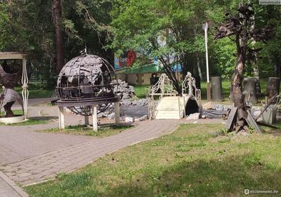 Зелёный Новосибирск: как изменился Заельцовский парк после реконструкции