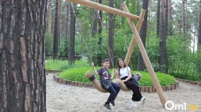 Заельцовский парк в Новосибирске открылся после реконструкции | Sobaka.ru