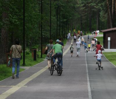 Назван срок открытия Заельцовского парка для горожан после реконструкции —  РБК