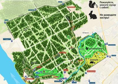 Заельцовский парк в Новосибирске откроют ко Дню города. Но уже есть  недовольные