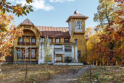 Загородный парк, Самара. Гостиницы рядом, фото, видео, сайт, адрес, цены  2024, как добраться — Туристер.Ру