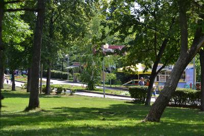 Денег не дадут: Загородный парк в Самаре останется без реконструкции