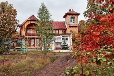 Самара: осень в Загородном парке