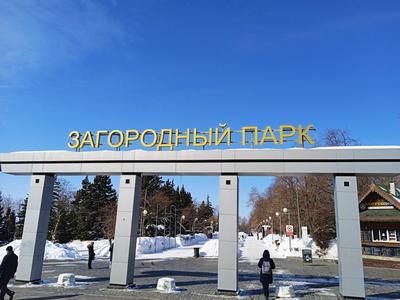 Самара/Загородный парк/Летаем перед Рождеством | Коптер-бродяга | Дзен