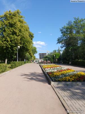 Конкурсный проект реконструкции Загородного парка в г. Самара