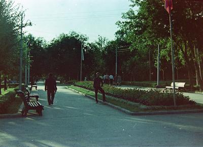 САМАРА. ЗАГОРОДНЫЙ ПАРК. Открыли для себя зеленые лужайки на склоне  высокого холма с залипательными видами на Волгу. | Городские прогулки.  ЧЕЛЯБИНСК ПЛЮС. | Дзен