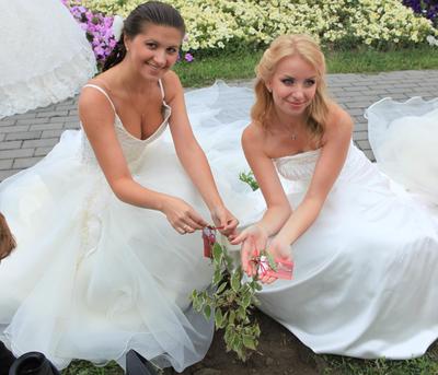 Самый популярный день для свадеб назвали в ЗАГС Новосибирской области -  KP.RU
