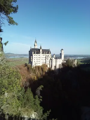 Замок Нойшванштайн в окрестностях Мюнхена, Бавария, Германия Стоковое Фото  - изображение насчитывающей известно, золушка: 156798838