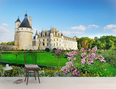 Из Парижа в замки Луары (групповой тур) 🧭 цена экскурсии €84, отзывы,  расписание экскурсий в Париже