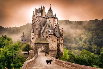 Замок Эльц / Замок Эльц – один из самых красивых и самых известных дворцов  Германии Спрятанный в густом лесу недалеко от Кобленца, он почти тысячу лет  привлекает к себе толпы любознательных туристов