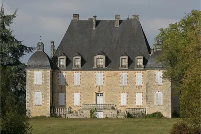 Во Франции владелица намеренно сожгла свой старинный замок // Новости НТВ