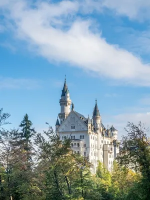 Замок Нойшванштайн в Германии: фото, описание, как добраться, замок  Нойшванштайн внутри