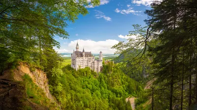 Обои Neuschwanstein Castle Города Замок Нойшванштайн (Германия), обои для  рабочего стола, фотографии neuschwanstein castle, города, замок нойшванштайн  , германия, замок, зима, лес Обои для рабочего стола, скачать обои картинки  заставки на рабочий