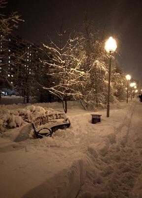 Парк Победы. Прекрасная заснеженная Москва. Сегодняшний зимний вечер.