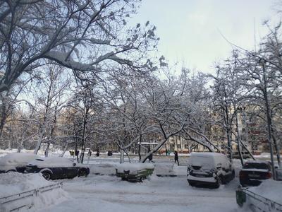 25 волшебных фото зимней Москвы, утопающей в снегу