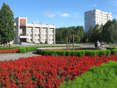 Затулинка Новосибирск фото