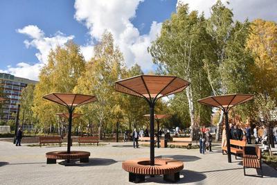 В Новосибирске по нацпроекту открылся Затулинский дисперсный парк -  Российская газета