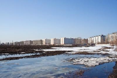 Красота на Затулинке: жительница Новосибирска восхитилась предновогодним  Затулинским парком - sib.fm