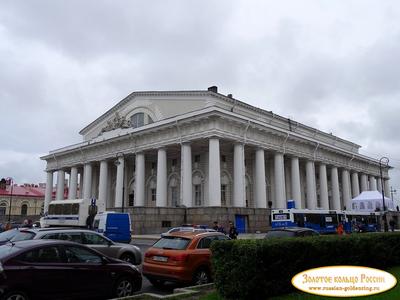 Санкт-Петербургская биржа (SPB) - листинг, время работы | Equity