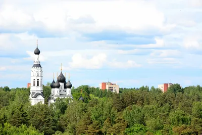 Курорт в Санкт-Петербурге: Зеленогорск, что посмотреть, где отдохнуть, как  добраться | Санкт-Петербург Центр