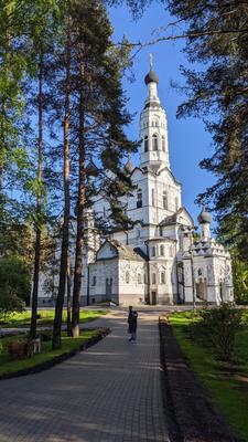 Зеленогорск. Вечерний финский залив.