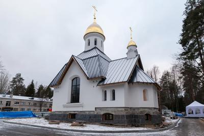 Зеленогорск Санкт Петербург Фото – Telegraph