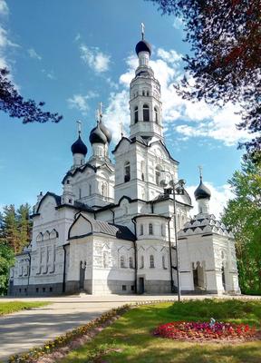 Санкт-Петербург. Мы поедем в Терийоки? Зеленогорск. Репинские \"Пенаты\",  Экотропа в Комарово — рассказ от 17.07.14