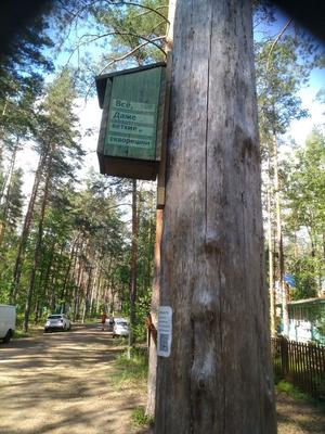 Фото Президент Отеля, г. Зеленогорск, Санкт-Петербург