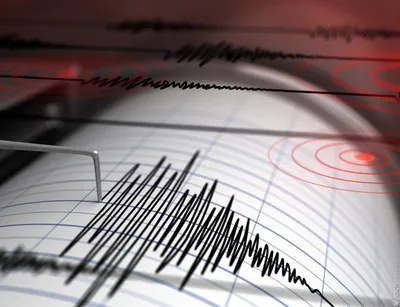 Землетрясение на Аляске – видео момента, есть угроза цунами или нет |  OBOZ.UA
