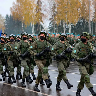 Сколько женщин служат в армиях НАТО: впечатляющие данные - Новости мира -  24 Канал