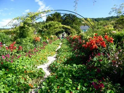 Фотографии Живерни Claude Monet Франция Природа Сады Пруд