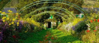 Из Парижа: Посещение дома Моне и его садов в Живерни. | GetYourGuide