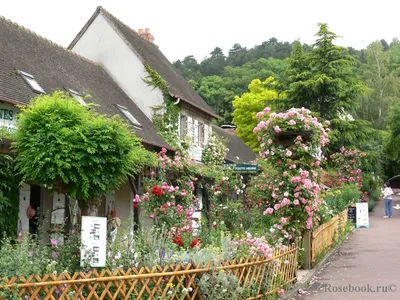 Фото «В деревне Живерни» из фотогалереи «ЖИВЕРНИ. УСАДЬБА КЛОДА МОНЕ»  Франция , Живерни #