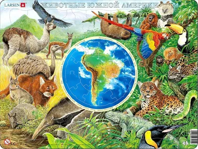 Постер Животные Южной Америки - купить и скачать