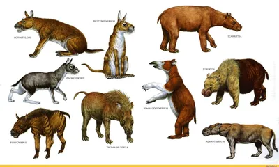 Капибары: Травоядные животные с важной ролью в экосистеме Южной Америки» —  создано в Шедевруме