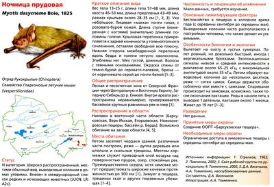 ТОП-10 самых редких зверей Новосибирской области. | Ведомости  законодательного собрания НСО