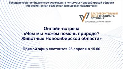 Из Нижнего Новгорода в новосибирский зоопарк привезли пуму