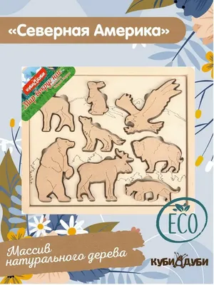 Карточки обучающие Животные Северной Америки 12шт Мини - | Купить с  доставкой в книжном интернет-магазине fkniga.ru | ISBN: