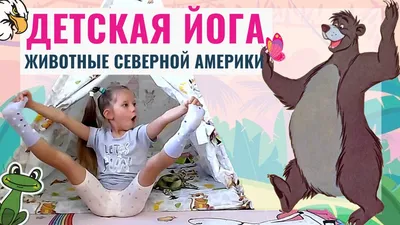 Комплект карточек \"Животные Северной Америки\"-купить развивающие карточки -  интернет магазин - доставка по России
