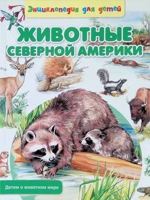 Животные Северной Америки. Демонстрационный плакат - купить книгу с  доставкой | Майшоп