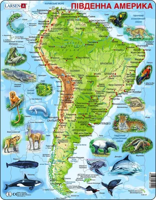 Презетация Животный мир в Южной Америке