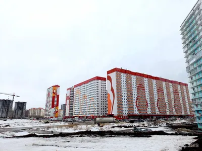 Жм Просторный: последние новости на сегодня, самые свежие сведения | НГС -  новости Новосибирска